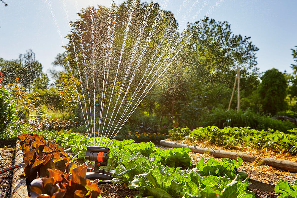 garten bewässerung